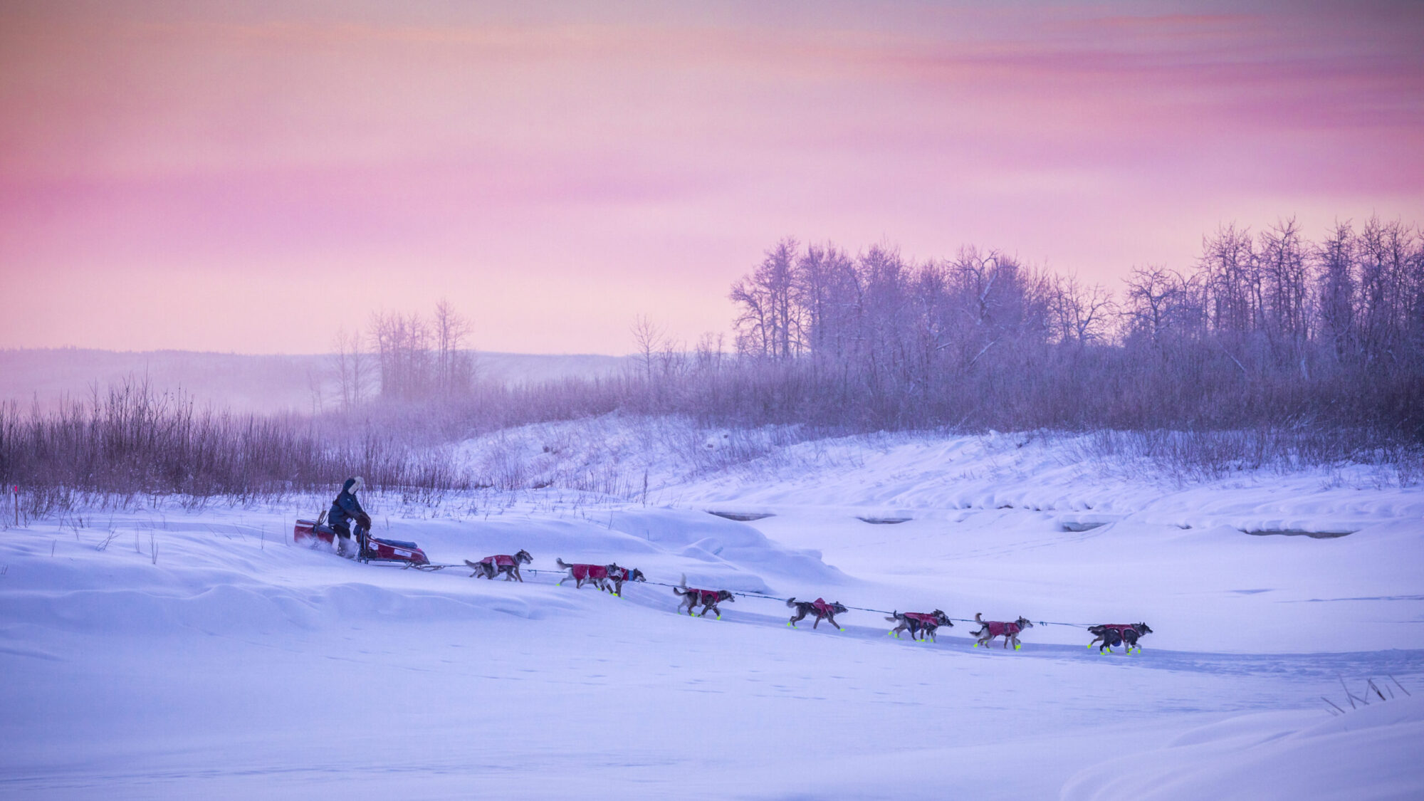 Yukon Quest Alaska Dog Sled Race
