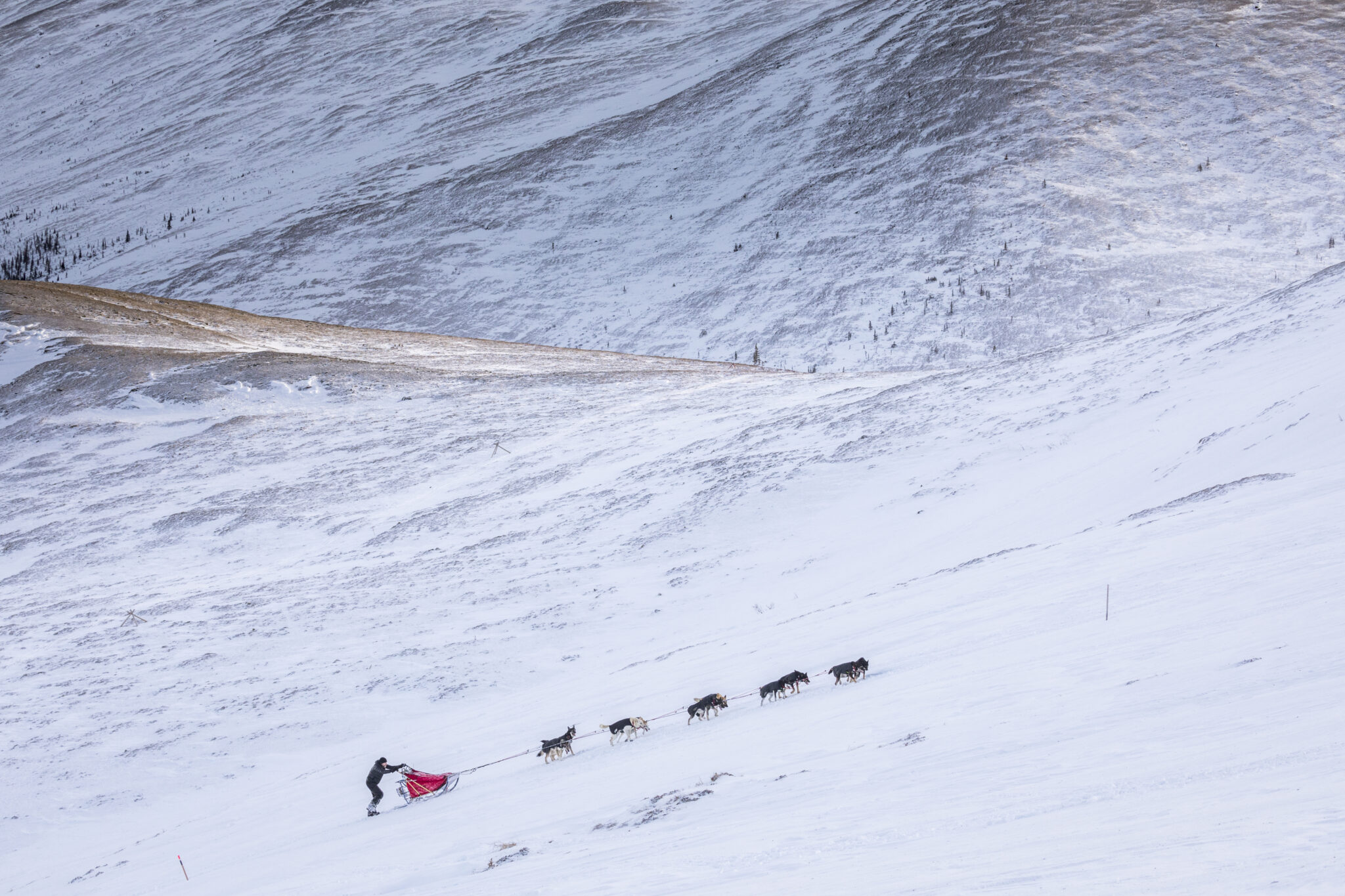 YQA 2024 Sign Up Day Incentive Winners Yukon Quest Alaska   8 2017 Top 10 J Shroder 15 12 13 Untitled Shoot Untitled 1718 2048x1365 