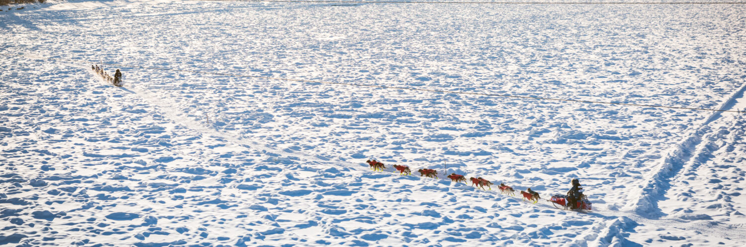 2024 Yukon Quest Alaska 300 Mile Race Rules Yukon Quest Alaska   Cropped 9 2017 Top 10 WhitneyMcLaren3191 