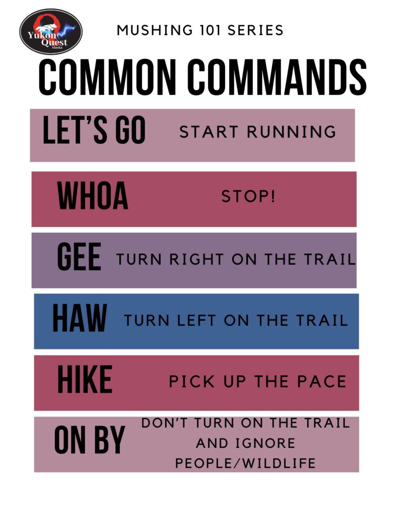 Common commands used in mushing
